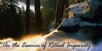On the Essence of Ritual Impurity 