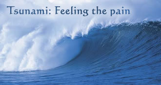 Tsunami: Feeling the Pain 