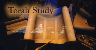 Torah Study 