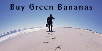 Buy Green Bananas 